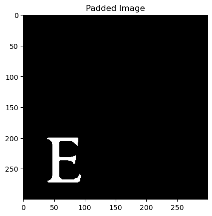 Padded imaging hologram target